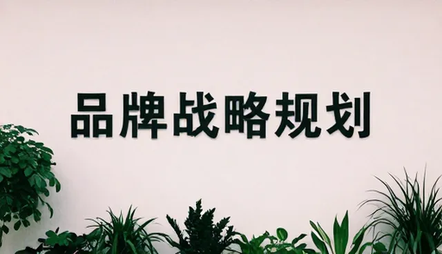 信息传递效率对品牌战略规划的影响